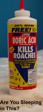 Photo of bottle of Boric Acid Roach Killer